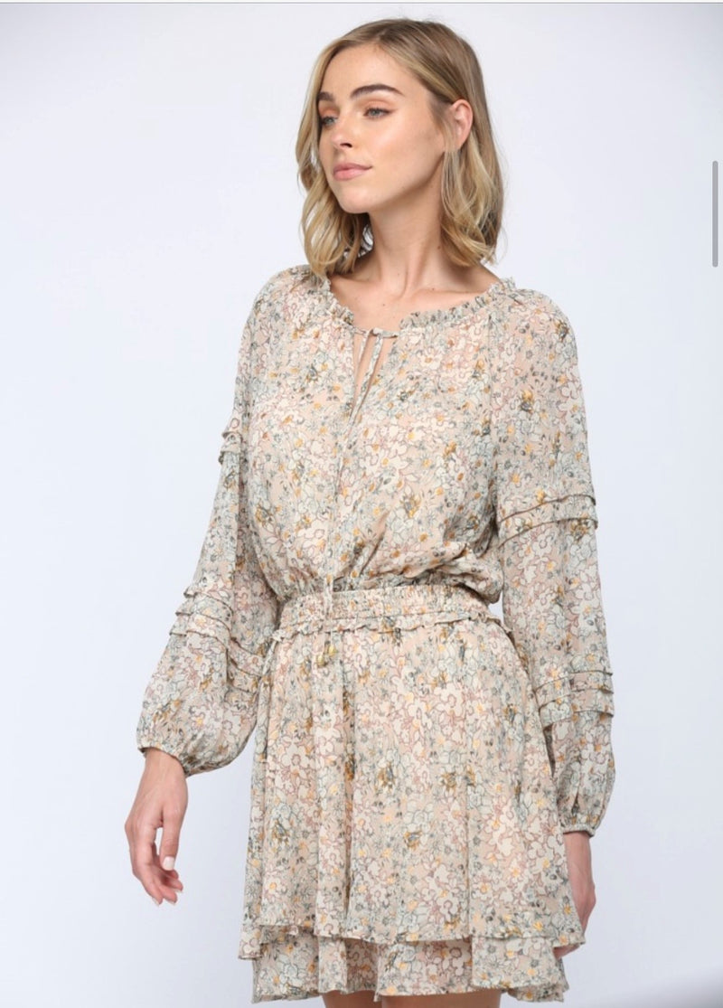 Nude and Gold Foil Chiffon Dress